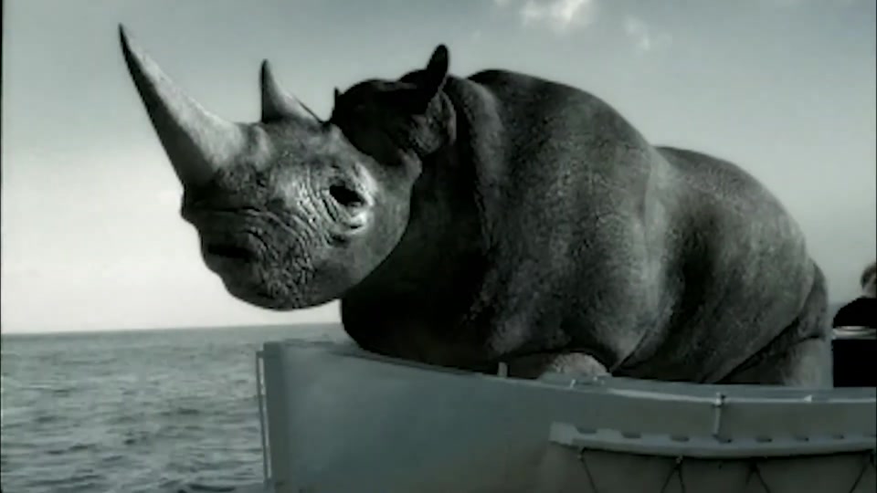 A CGI rhinoceros on a boat, from the 2020 commercial showreel.